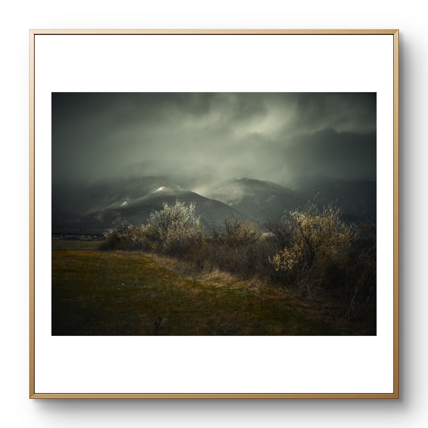 Розовата долина