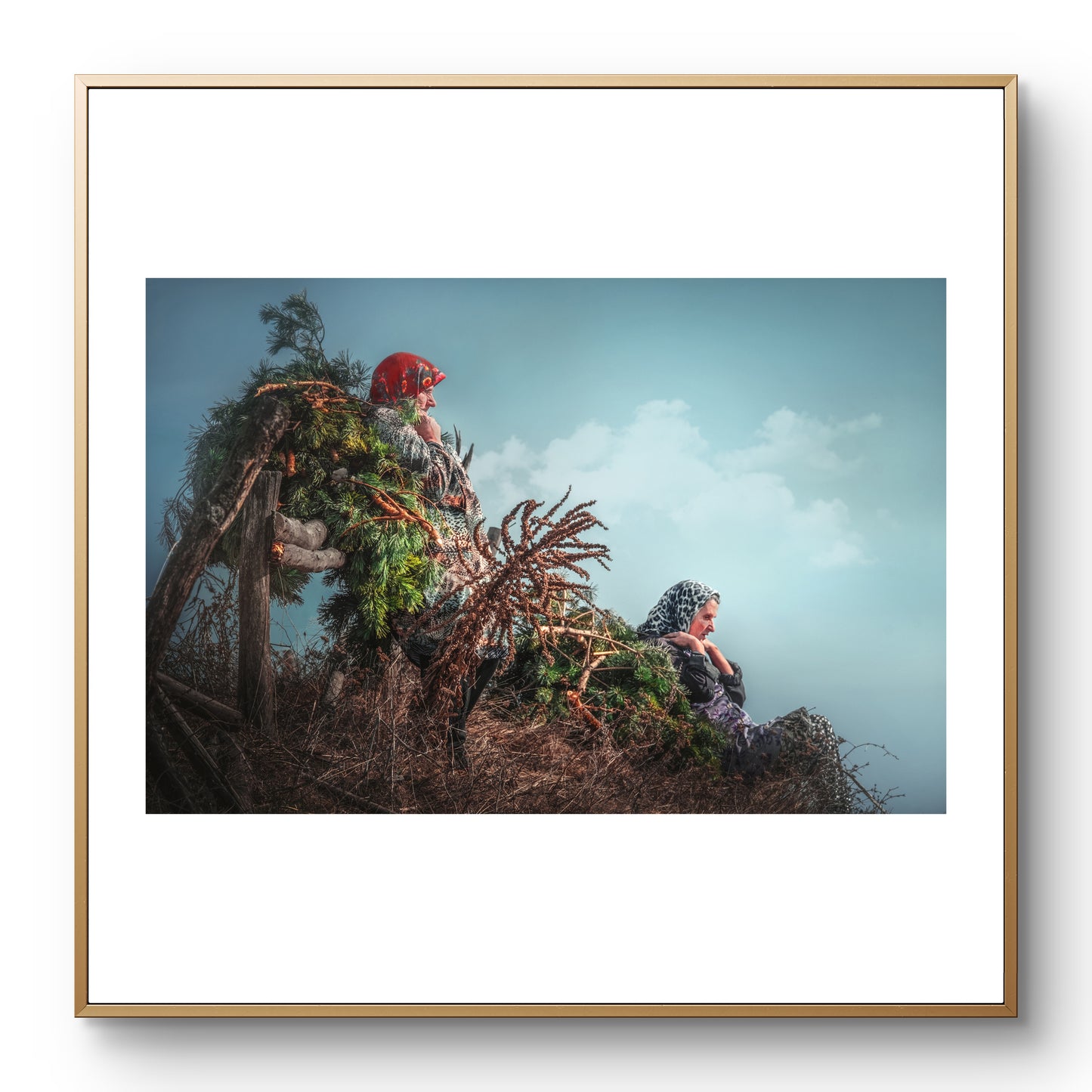 Последни сили