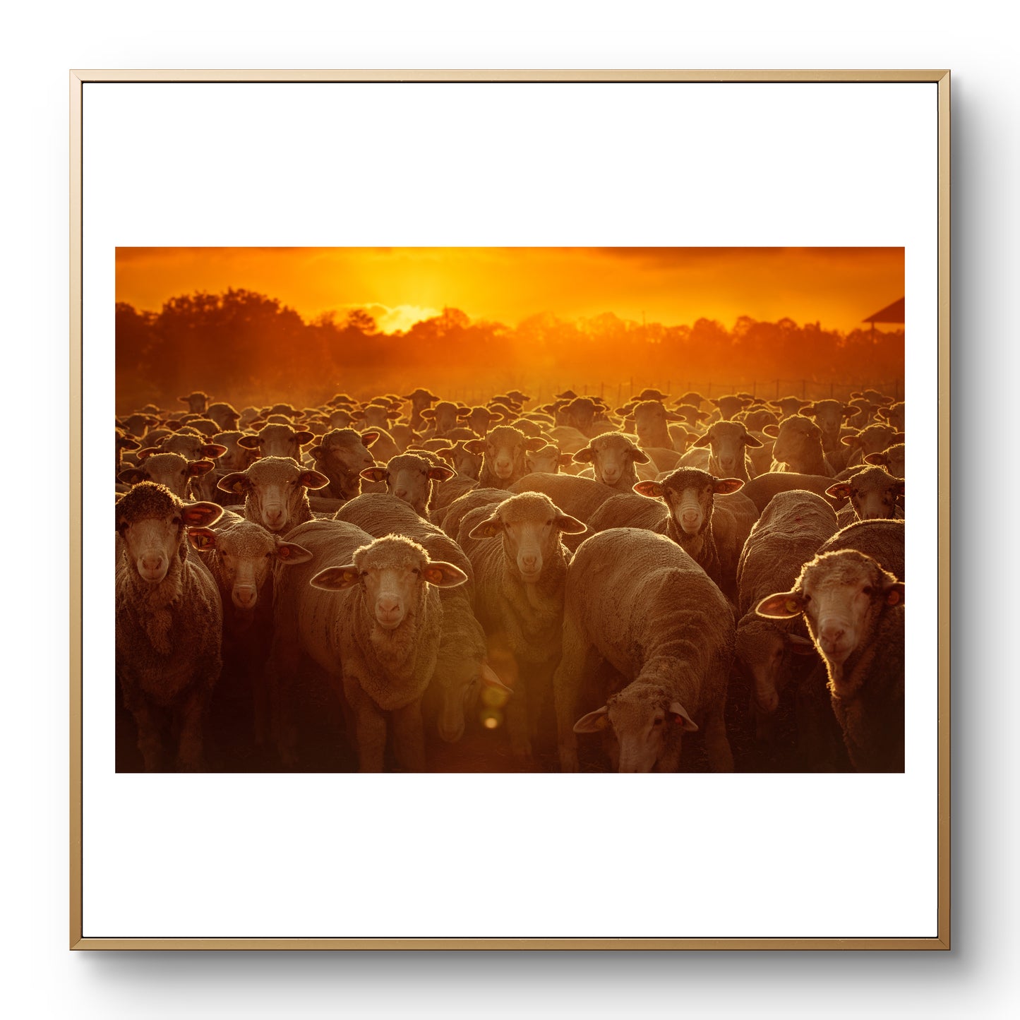 Общество на залеза