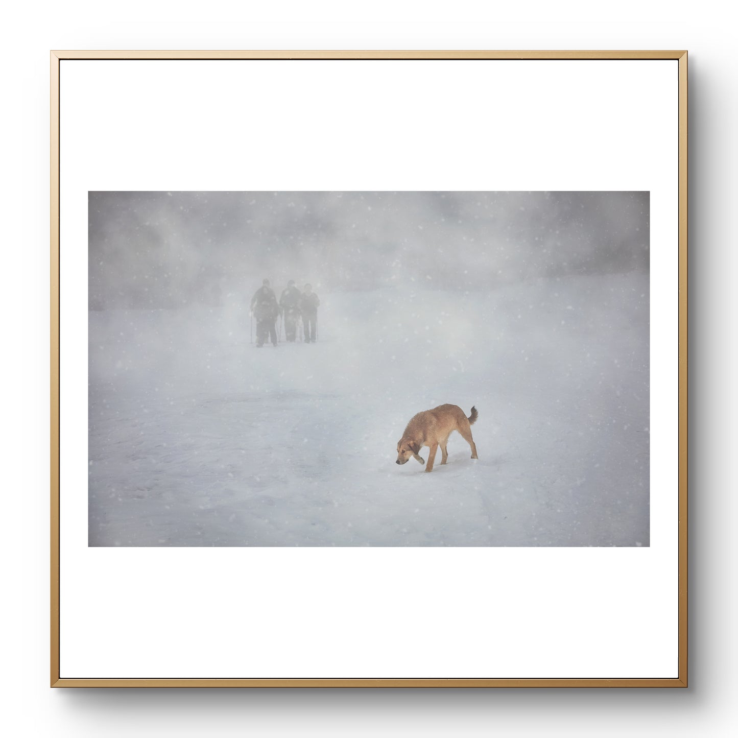 Да намериш пътя