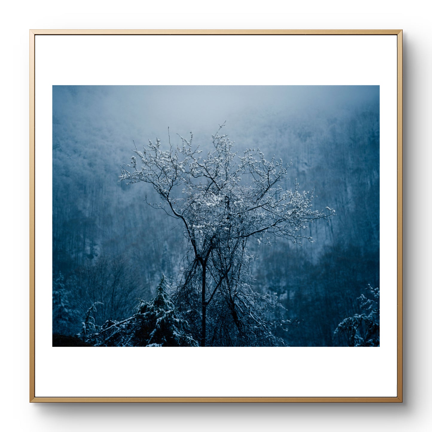 Зима през пролетта