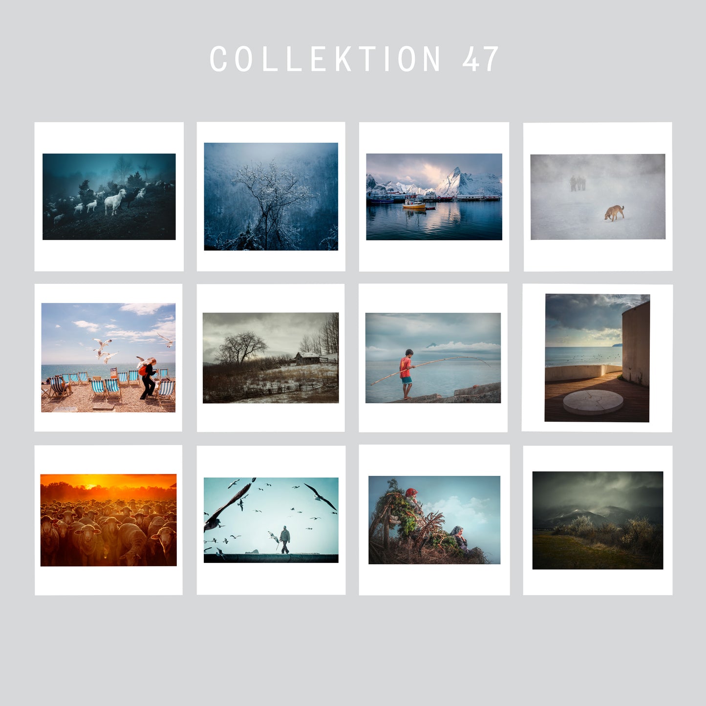 Цялата колекция от 12 принта