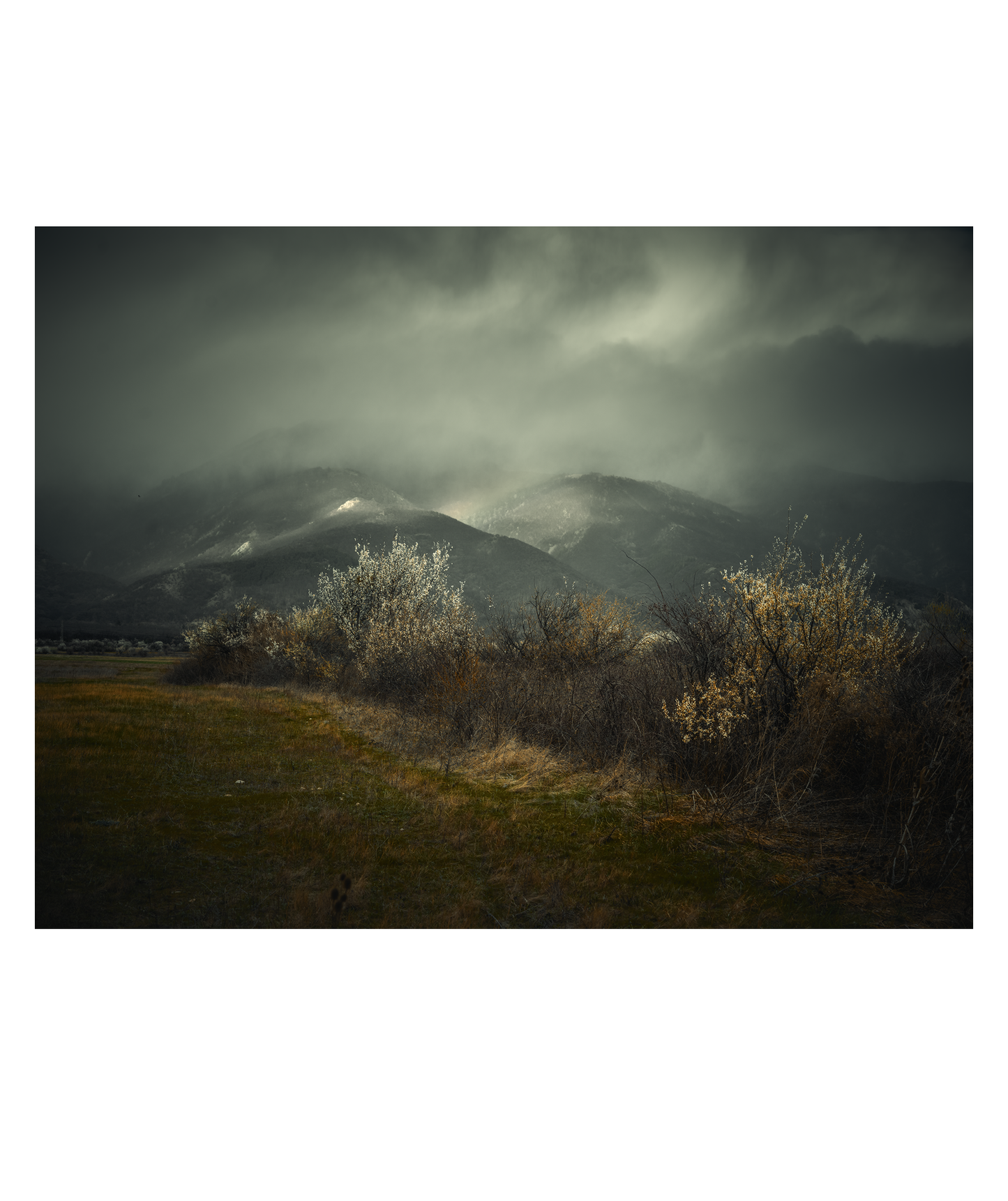 Розовата долина