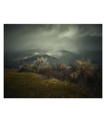 Розовата долина