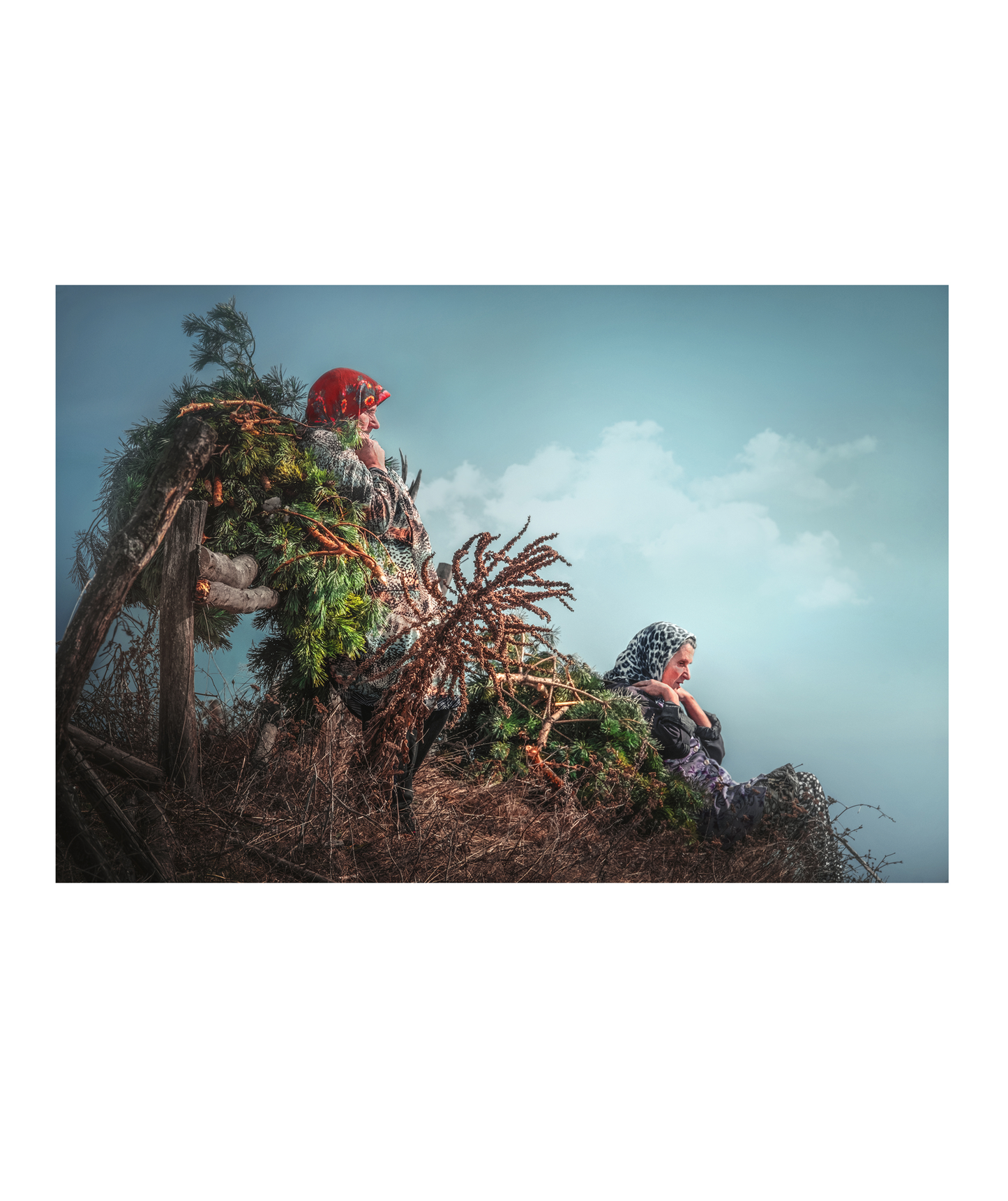 Последни сили