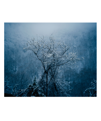 Зима през пролетта