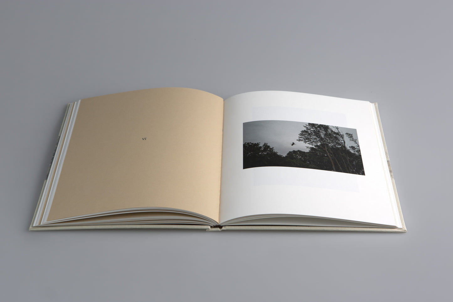 На тяхно място