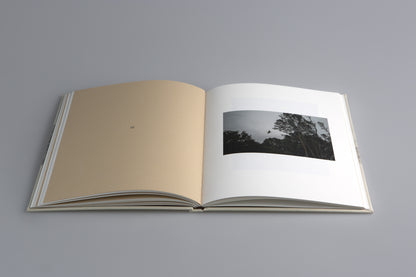 На тяхно място